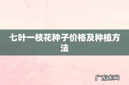 七叶一枝花种子价格及种植方法