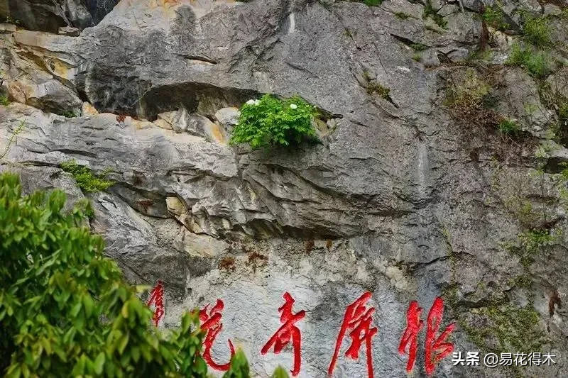 铜镶嵌银方法 银纹铜花风水