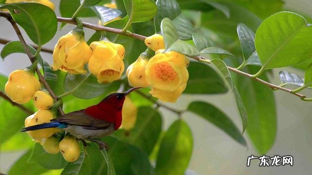 铜镶嵌银方法 银纹铜花风水