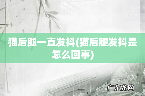 猫后腿发抖是怎么回事 猫后腿一直发抖