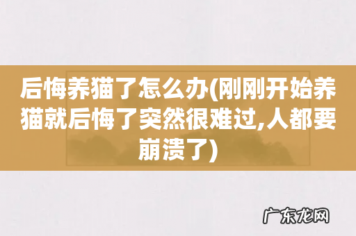 刚刚开始养猫就后悔了突然很难过,人都要崩溃了 后悔养猫了怎么办