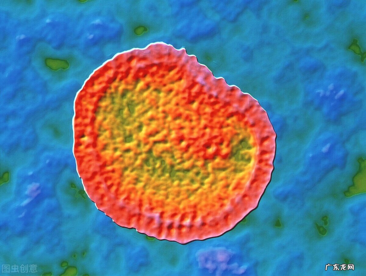 风热感冒的前兆 风寒风热感冒症状有哪些