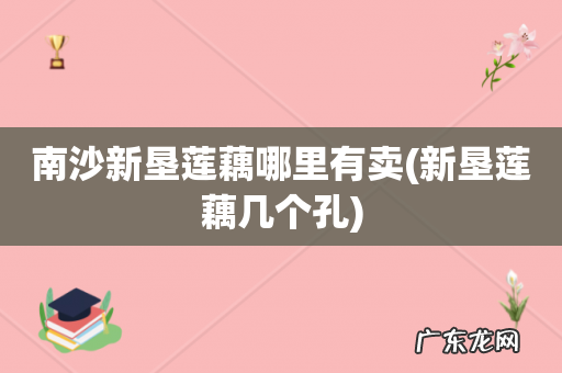 新垦莲藕几个孔 南沙新垦莲藕哪里有卖