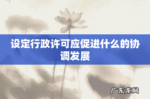 设定行政许可应促进什么的协调发展