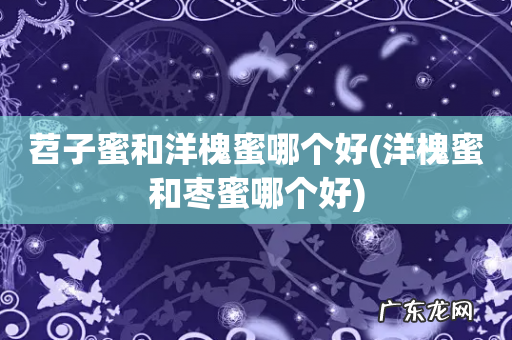 洋槐蜜和枣蜜哪个好 苕子蜜和洋槐蜜哪个好