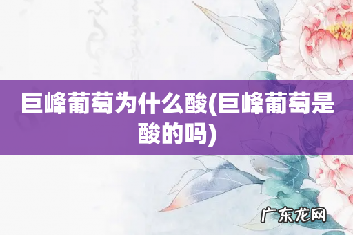 巨峰葡萄是酸的吗 巨峰葡萄为什么酸