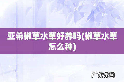 椒草水草怎么种 亚希椒草水草好养吗