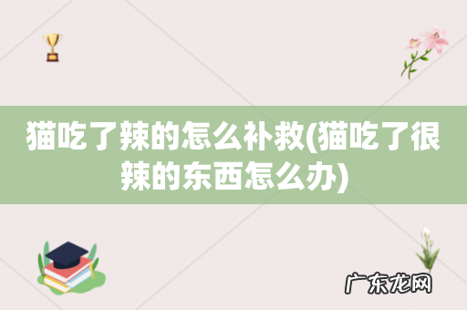 猫吃了很辣的东西怎么办 猫吃了辣的怎么补救