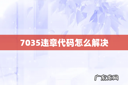 7035违章代码怎么解决