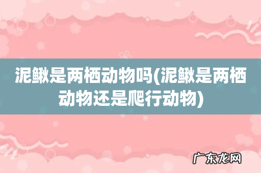 泥鳅是两栖动物还是爬行动物 泥鳅是两栖动物吗