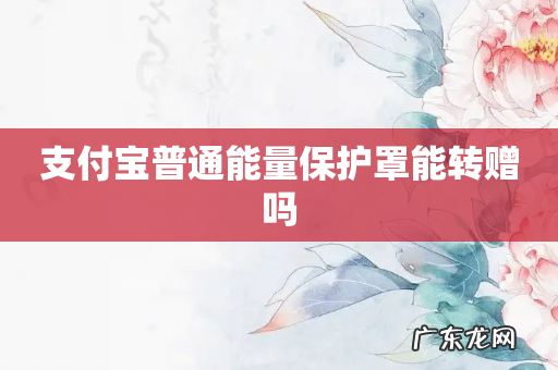 支付宝普通能量保护罩能转赠吗