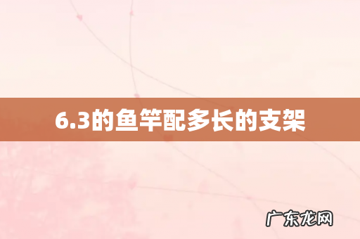 6.3的鱼竿配多长的支架