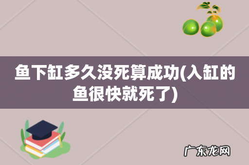 入缸的鱼很快就死了 鱼下缸多久没死算成功