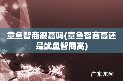 章鱼智商高还是鱿鱼智商高 章鱼智商很高吗