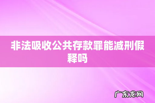 非法吸收公共存款罪能减刑假释吗