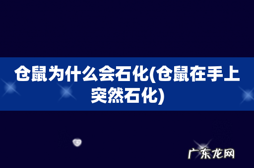 仓鼠在手上突然石化 仓鼠为什么会石化