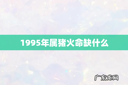 1995年属猪火命缺什么