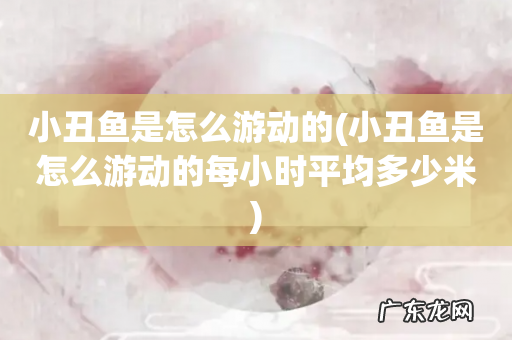小丑鱼是怎么游动的每小时平均多少米 小丑鱼是怎么游动的