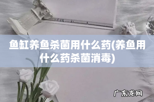 养鱼用什么药杀菌消毒 鱼缸养鱼杀菌用什么药