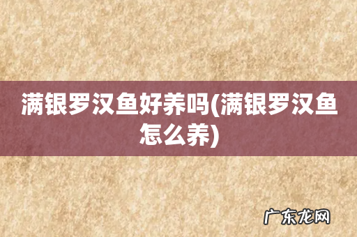 满银罗汉鱼怎么养 满银罗汉鱼好养吗