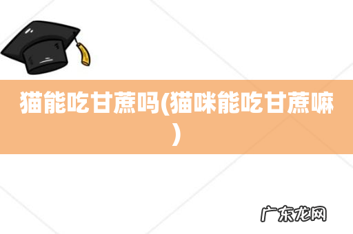 猫咪能吃甘蔗嘛 猫能吃甘蔗吗