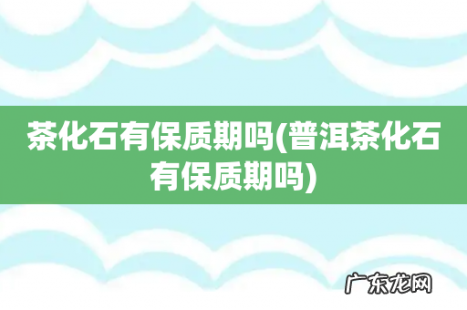 普洱茶化石有保质期吗 茶化石有保质期吗