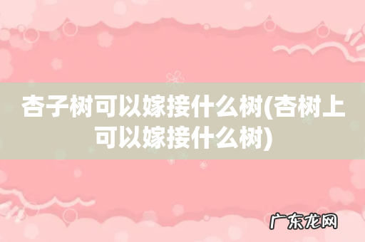 杏树上可以嫁接什么树 杏子树可以嫁接什么树