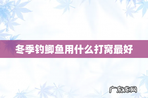 冬季钓鲫鱼用什么打窝最好