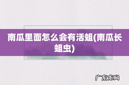 南瓜长蛆虫 南瓜里面怎么会有活蛆