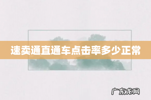 速卖通直通车点击率多少正常