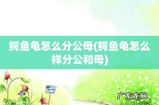 鳄鱼龟怎么样分公和母 鳄鱼龟怎么分公母