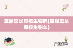 草履虫是原核生物么 草履虫是真核生物吗