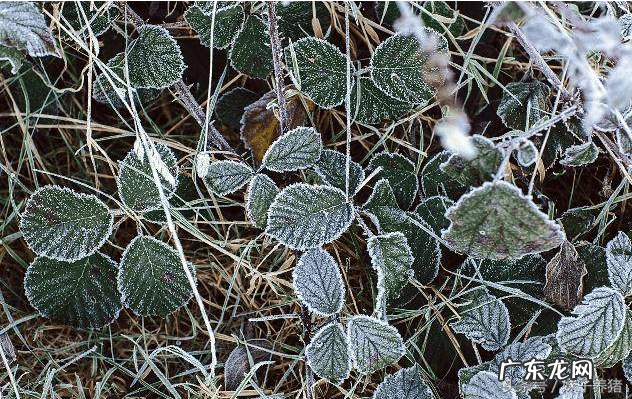 入山观水口技巧图解 坐山靠水按照风水学来说