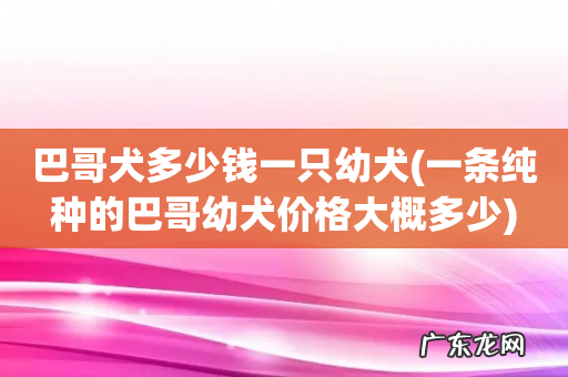 一条纯种的巴哥幼犬价格大概多少 巴哥犬多少钱一只幼犬