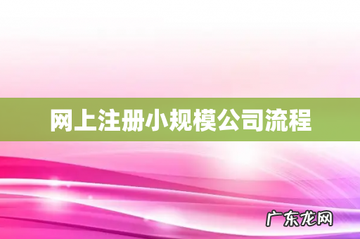 网上注册小规模公司流程