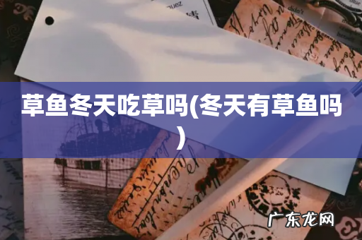 冬天有草鱼吗 草鱼冬天吃草吗