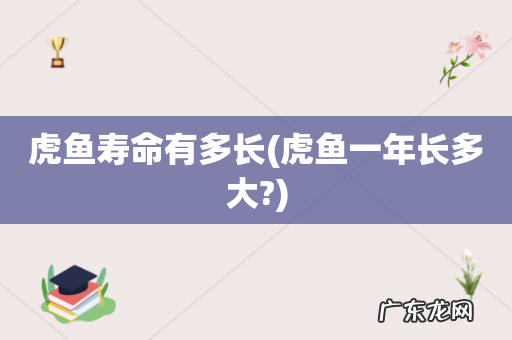 虎鱼一年长多大? 虎鱼寿命有多长