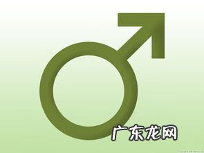 各种经典词语 经典词汇有哪些