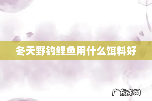 冬天野钓鲤鱼用什么饵料好