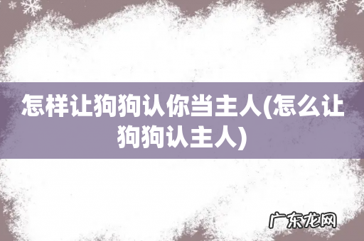 怎么让狗狗认主人 怎样让狗狗认你当主人