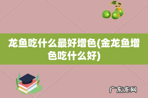 金龙鱼增色吃什么好 龙鱼吃什么最好增色