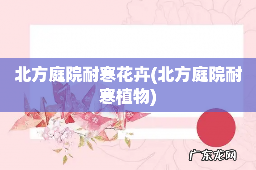 北方庭院耐寒植物 北方庭院耐寒花卉