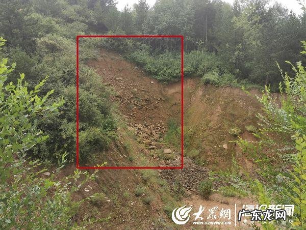 我是谜贾商人 我是谜萧风水贾商人