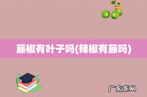 辣椒有藤吗 藤椒有叶子吗