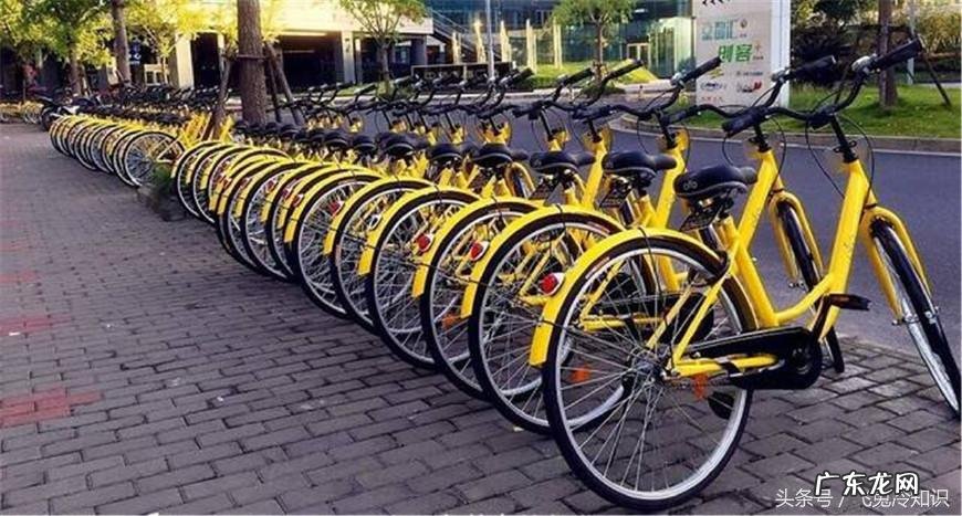 小灰兔 小飞兔汽车