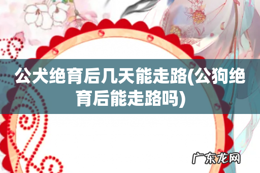 公狗绝育后能走路吗 公犬绝育后几天能走路