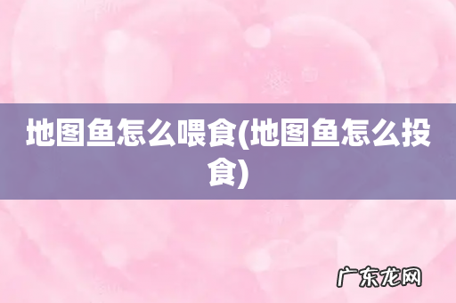 地图鱼怎么投食 地图鱼怎么喂食