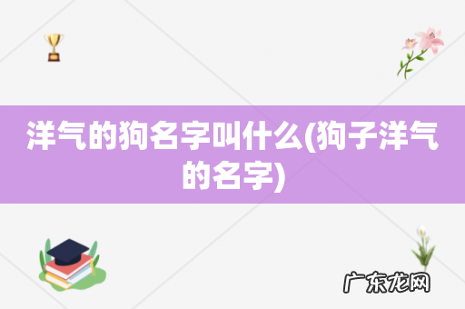 狗子洋气的名字 洋气的狗名字叫什么