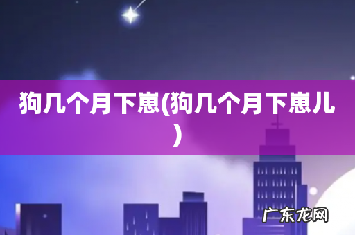 狗几个月下崽儿 狗几个月下崽