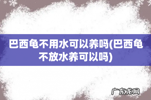 巴西龟不放水养可以吗 巴西龟不用水可以养吗